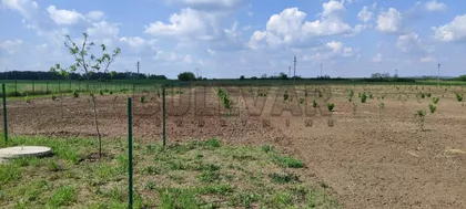 Gornje Jarušice | 4zida.rs