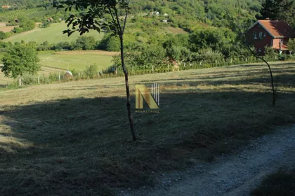 Sremska Kamenica | 4zida.rs