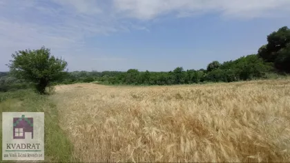 Mislođin | 4zida.rs