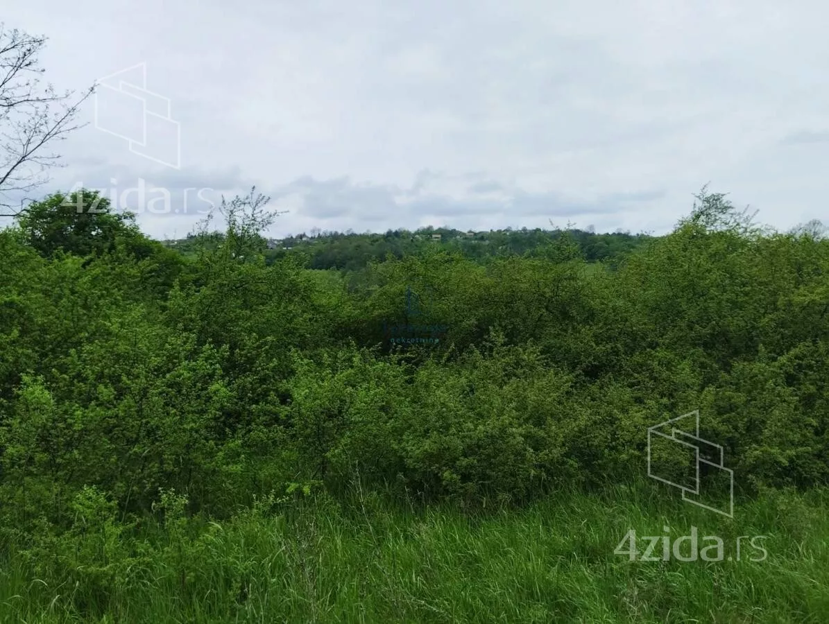 Plac | 4zida