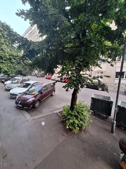 Palata Pravde | 4zida.rs