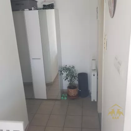 Detelinara | 4zida.rs