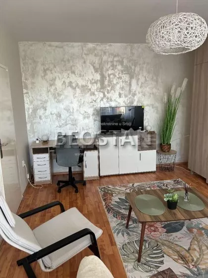 Dr Ivana Ribara | 4zida.rs