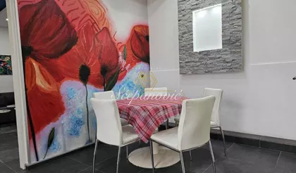 Novi Sad - Centar | 4zida.rs