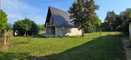 Pačir | 4zida.rs