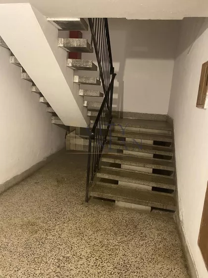 Đoka Pavićevića | 4zida.rs