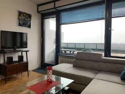 Vojvode Stepe | 4zida.rs