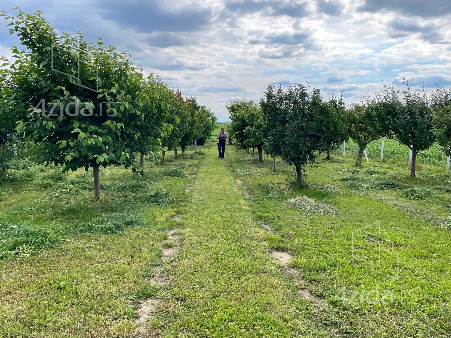 Poljoprivredno zemljište | 4zida