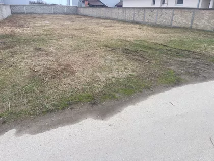Bogdana Čiplica | 4zida.rs
