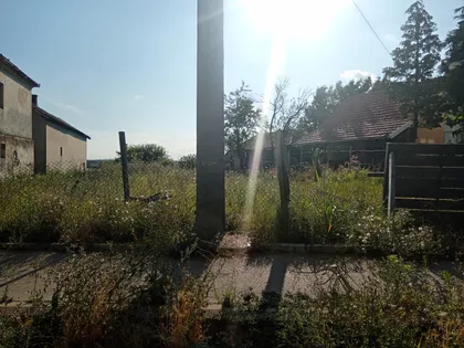 Desetog Oktobra | 4zida.rs