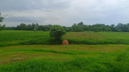Beloševačka | 4zida.rs