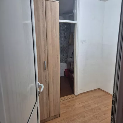 Luja Pastera 8 | 4zida.rs