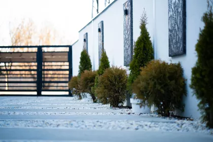 Dostojevskog | 4zida.rs