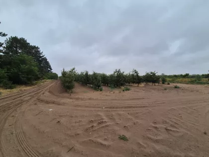 Bački Vinogradi | 4zida.rs
