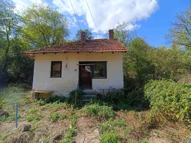 Lipova