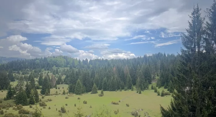 Poljoprivredno zemljište | 4zida