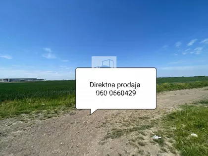Šimanovci | 4zida.rs