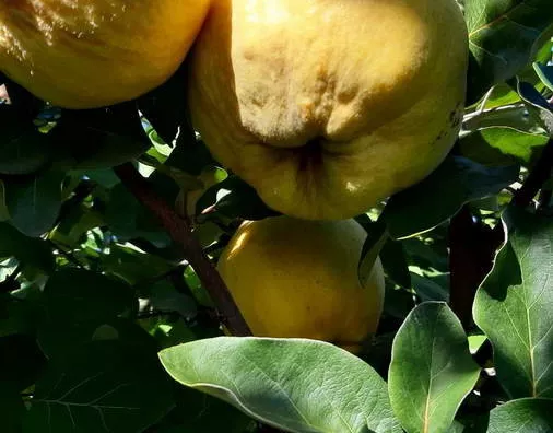 Turistički objekat | 4zida