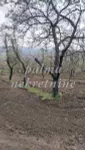 Poljoprivredno zemljište | 4zida