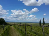 Gradske lokacije, Šid | 4zida.rs