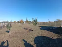 Šabac, Okolne lokacije, Jelenča | 4zida.rs | 4zida.rs