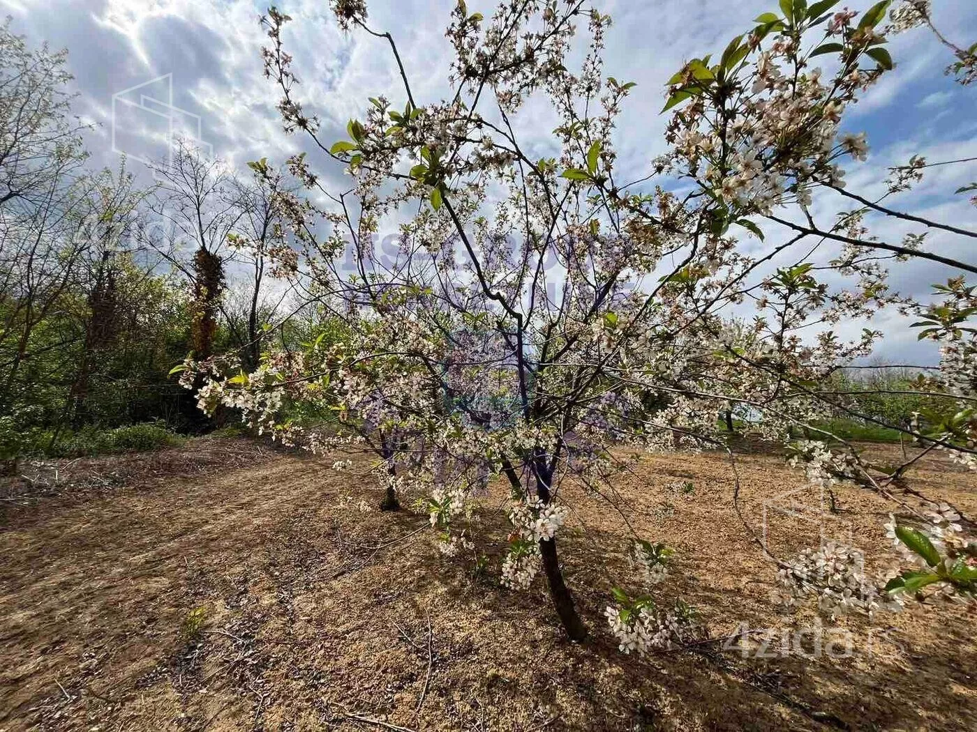 Poljoprivredno zemljište | 4zida