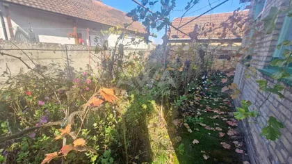 Svetozar Miletić | 4zida.rs