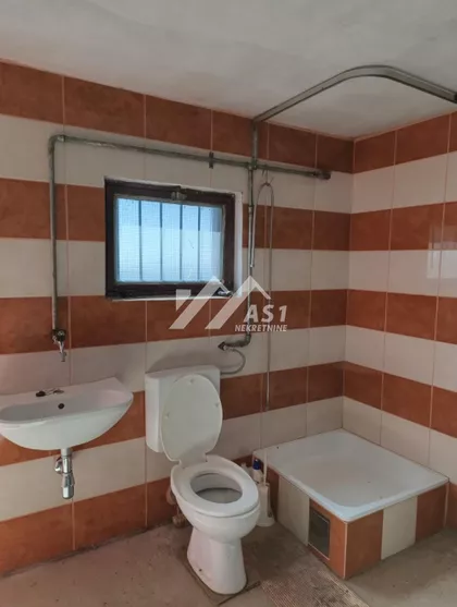 Cara Dušana | 4zida.rs