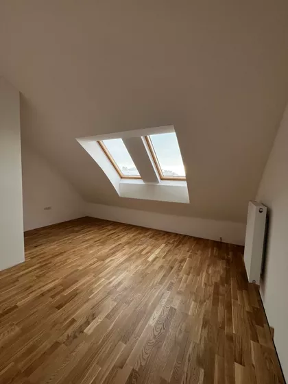 Petrovaradin | 4zida.rs