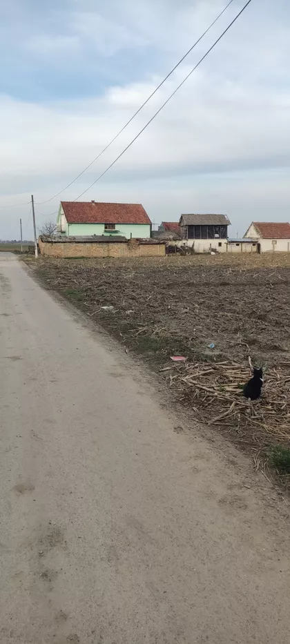 Sinđelićeva | 4zida.rs