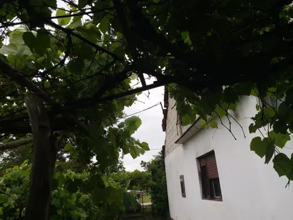 Kozaračka | 4zida.rs