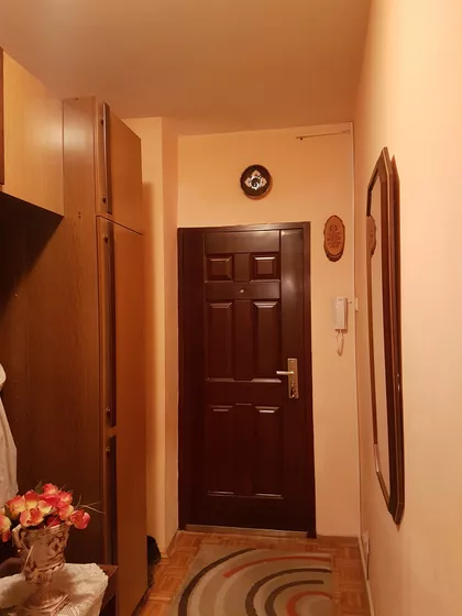 Sava Kovačević | 4zida.rs