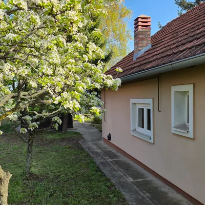 Dr.stevana Tišme | 4zida.rs