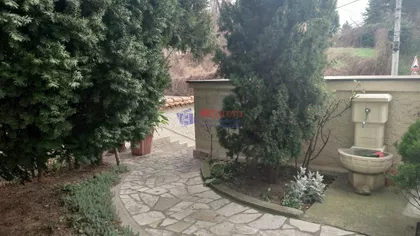 Sanje Živanovića | 4zida.rs