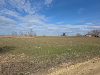 Bore Stankovića | 4zida.rs