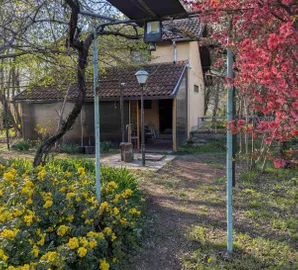 Peščara, Gradske lokacije, Subotica, dvoetažna | 4zida.rs