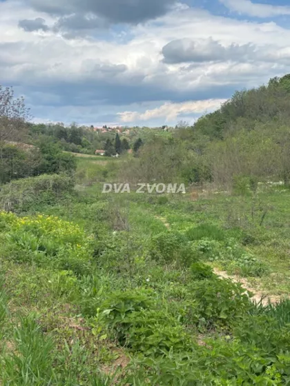 Čortanovci | 4zida.rs