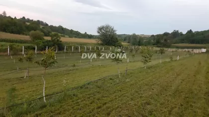 Čortanovci | 4zida.rs