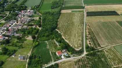 Okolne lokacije | 4zida.rs