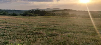 Vlaška | 4zida.rs