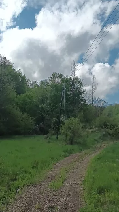 Dobro Polje | 4zida.rs