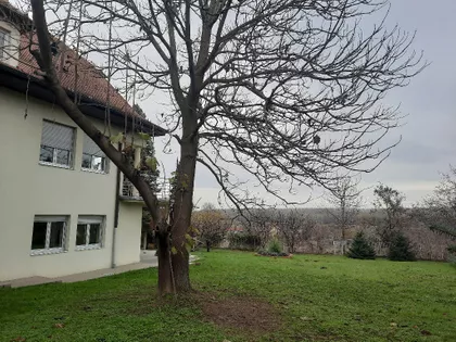 Mišeluk 3 | 4zida.rs