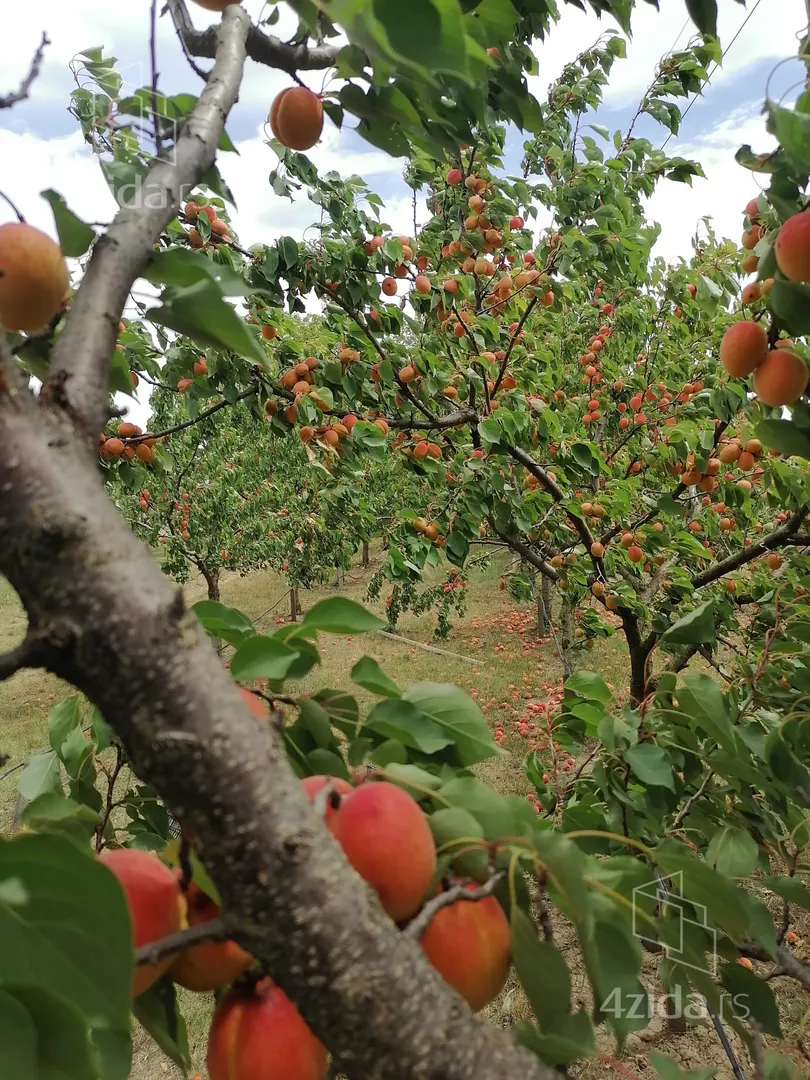 Poljoprivredno zemljište | 4zida