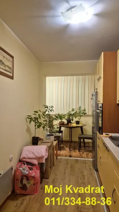 Dr Nika Miljanića | 4zida.rs