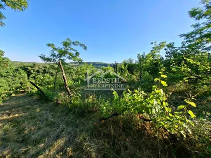 Zaklopača | 4zida.rs