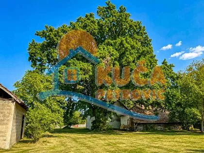 Donja Trnava | 4zida.rs