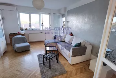 Miše Dimitrijevića