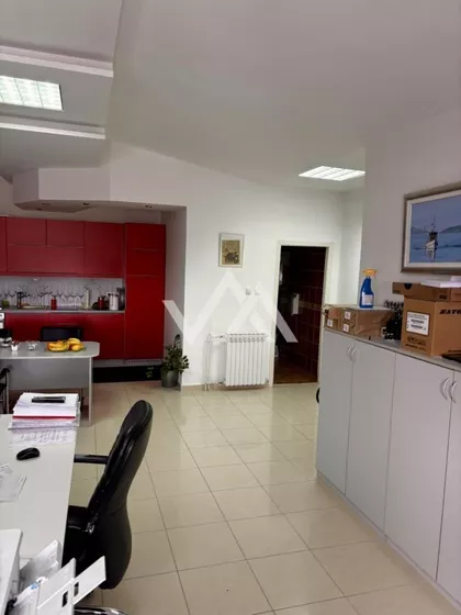 Petra Maravića | 4zida.rs