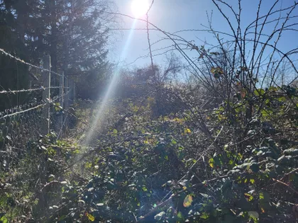 Širine 1 | 4zida.rs