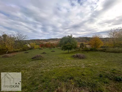 Sremska Kamenica | 4zida.rs